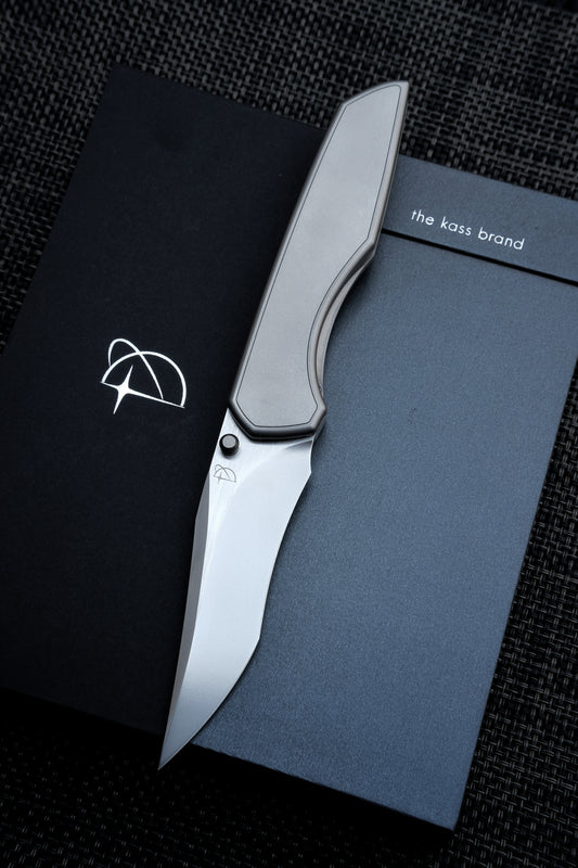 Saladin by Kass Brand