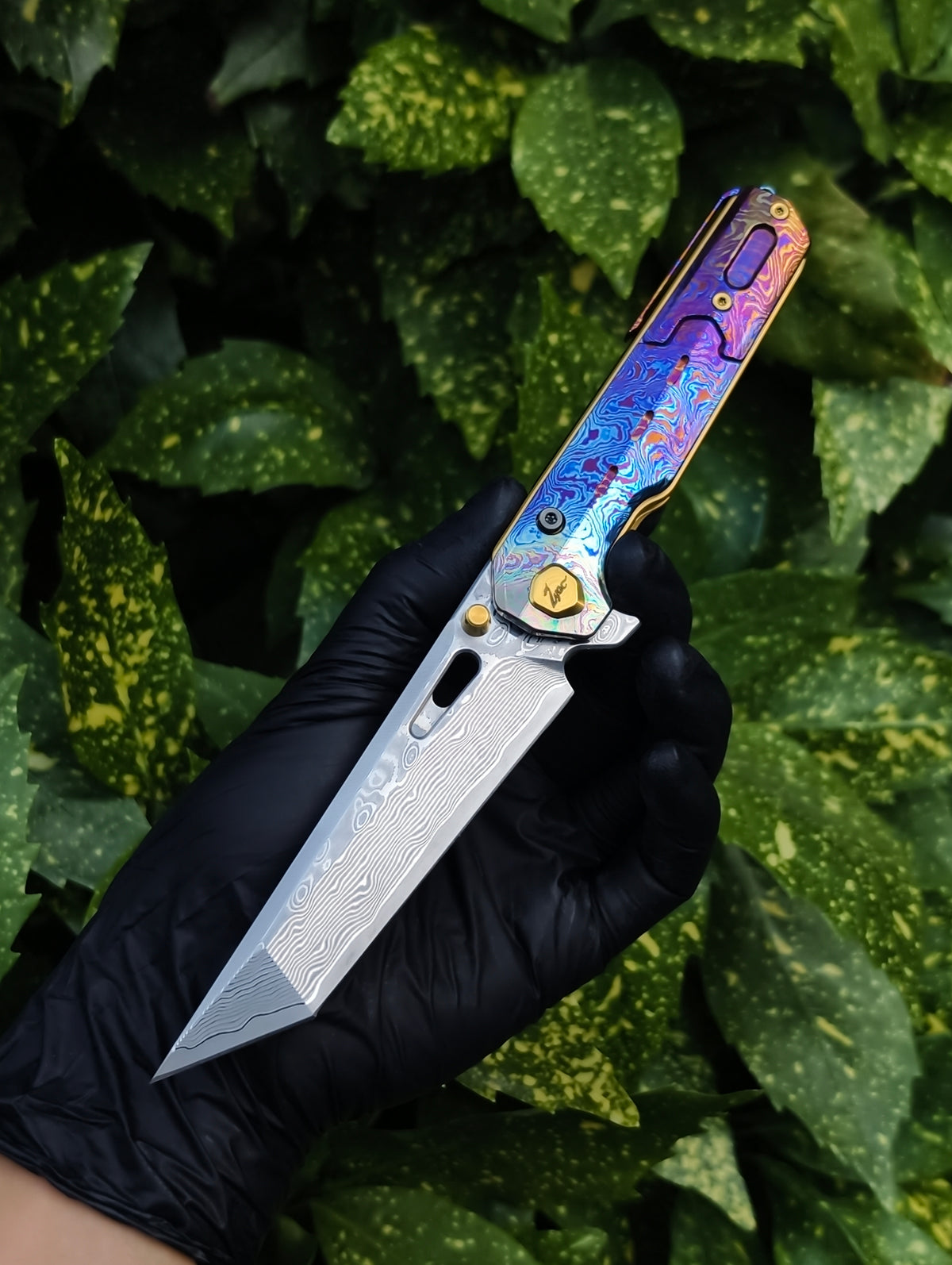 Z01s Full Dress