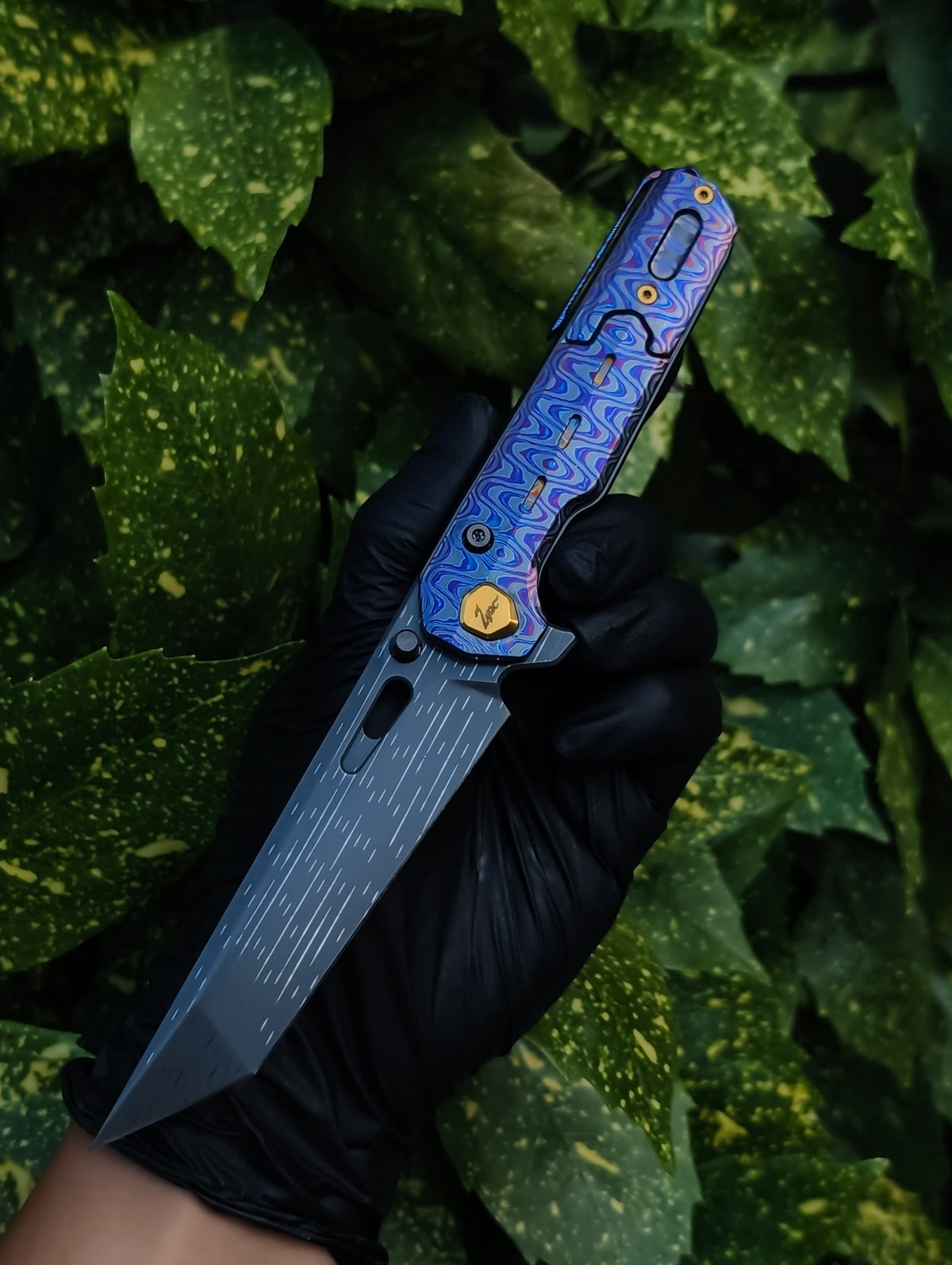 Z01s Full Dress